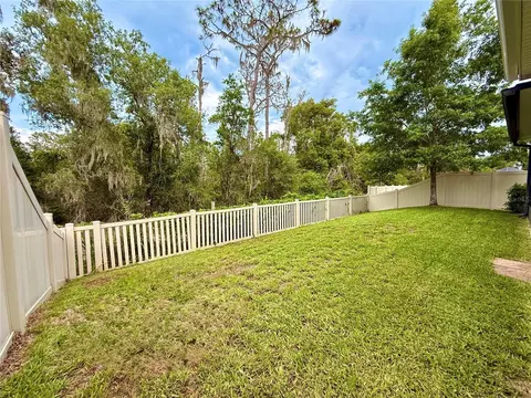 Exterior - 14250 Blue Dasher Dr, Riverview, FL 33569 photo 6 of 7