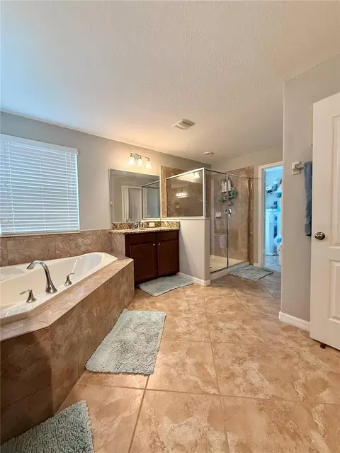 Bath - 14250 Blue Dasher Dr, Riverview, FL 33569 photo 3 of 4