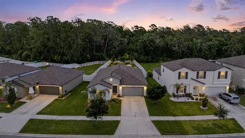 View/Area - 13411 Willow Bluestar Loop, Riverview, FL 33579 photo 3 of 7