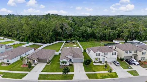 View/Area - 13411 Willow Bluestar Loop, Riverview, FL 33579 photo 4 of 7