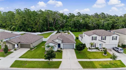 View/Area - 13411 Willow Bluestar Loop, Riverview, FL 33579 photo 6 of 7
