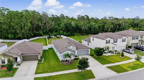 View/Area - 13411 Willow Bluestar Loop, Riverview, FL 33579 photo 5 of 7