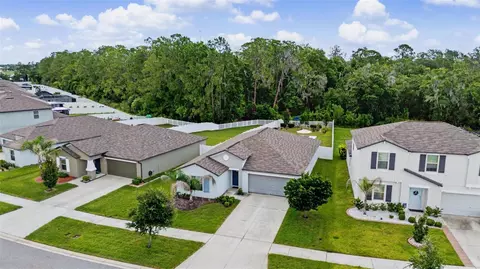 View/Area - 13411 Willow Bluestar Loop, Riverview, FL 33579 photo 7 of 7