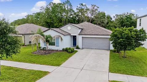 Exterior - 13411 Willow Bluestar Loop, Riverview, FL 33579 photo 11 of 11