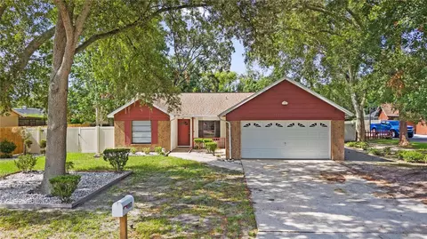 1917 Dove Field Pl, Brandon, FL 33510
