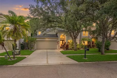 9915 Hartwell Bridge Cir, Tampa, FL 33626