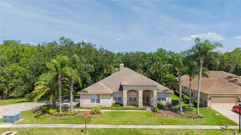 18615 Chemille Dr, Lutz, FL 33558