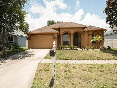 10501 Ashley Oaks Dr, Riverview, FL 33578