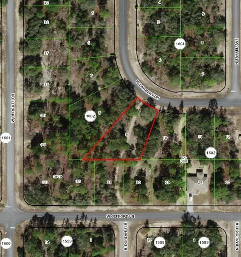 2872 W Lambert Dr, Dunnellon, FL 34433
