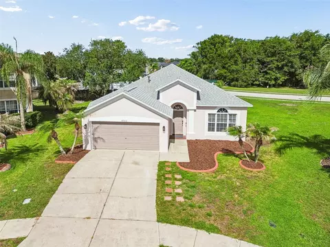 27211 Liriope Ct, Wesley Chapel, FL 33544