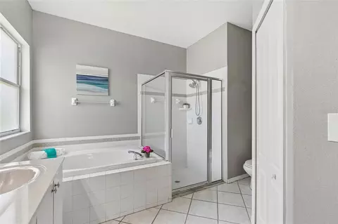 27211 Liriope Ct, Wesley Chapel, FL 33544 photo 23