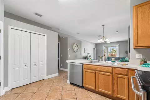 27211 Liriope Ct, Wesley Chapel, FL 33544 photo 6