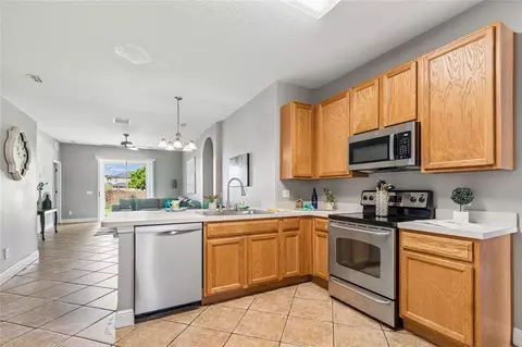 27211 Liriope Ct, Wesley Chapel, FL 33544 photo 4