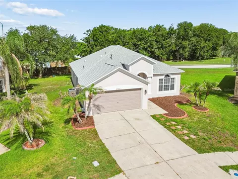 27211 Liriope Ct, Wesley Chapel, FL 33544 photo 40