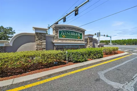 27211 Liriope Ct, Wesley Chapel, FL 33544 photo 49