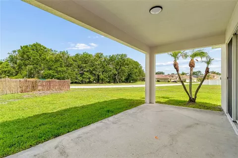 27211 Liriope Ct, Wesley Chapel, FL 33544 photo 35