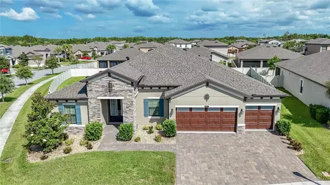 8687 Birchleaf Court Ct, Land O Lakes, FL 34637