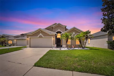 11115 Silver Dancer Dr, Riverview, FL 33579