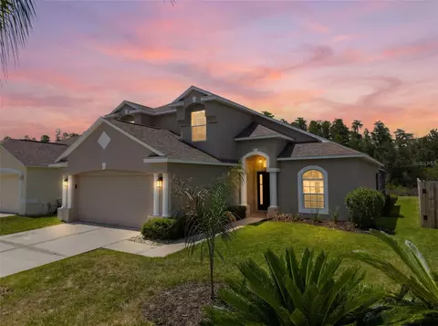 30609 Tremont Dr, Wesley Chapel, FL 33543