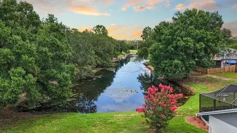 View/Area - 11807 Cedarfield Dr, Riverview, FL 33579 photo 2 of 10