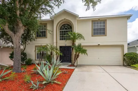 3142 Bellericay Ln, Land O Lakes, FL 34638