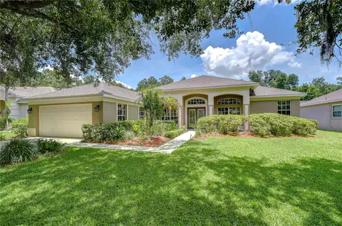 3512 Cordgrass Dr, Valrico, FL 33596