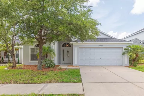 7020 Blue Beech Dr, Riverview, FL 33578