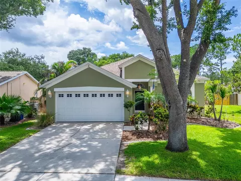 11514 Wellman Dr, Riverview, FL 33578