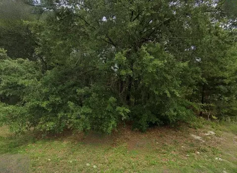 Unassigned, Ocala, FL 34473 photo 2