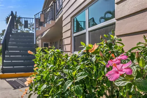 216 36th Ave N #202B, Saint Petersburg, FL 33704