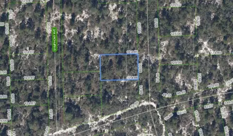 591 Blue Velvet Dr, Lake Placid, FL 33852