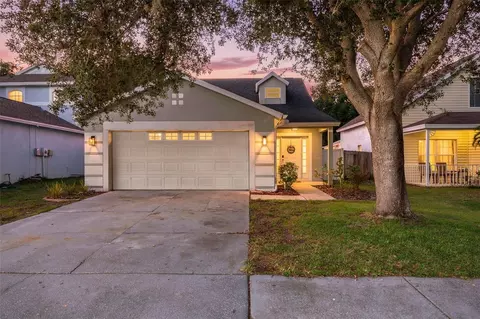 Exterior - 8427 Hawbuck St, Trinity, FL 34655 photo 7 of 7