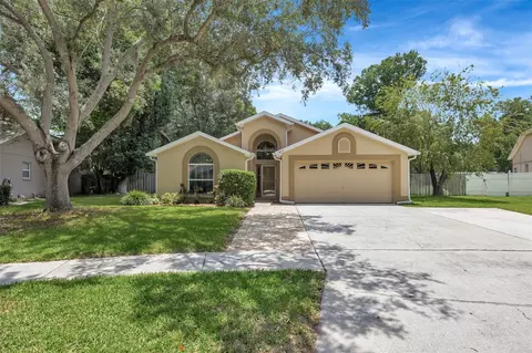 3015 Folklore Dr, Valrico, FL 33596