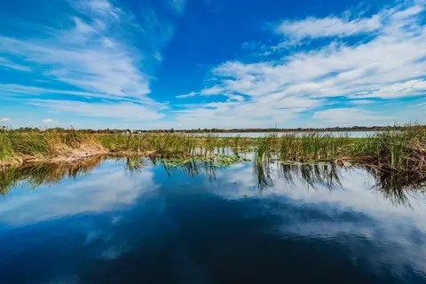 View/Area - 10195 Sailwinds Blvd N #201, Largo, FL 33773 photo 11 of 18