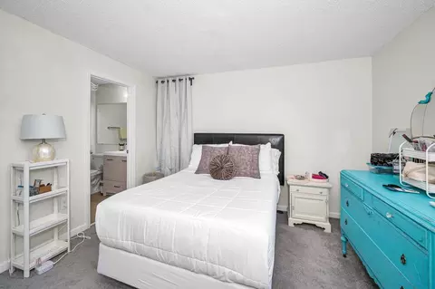 Bedroom - 10195 Sailwinds Blvd N #201, Largo, FL 33773 photo 2 of 5