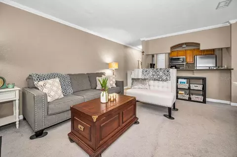 Living - 10195 Sailwinds Blvd N #201, Largo, FL 33773 photo 5 of 5
