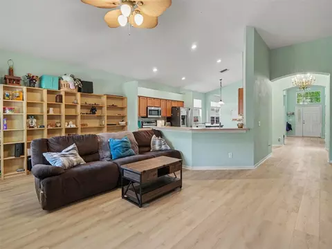 Living - 11102 Silver Dancer Dr, Riverview, FL 33579 photo 3 of 3