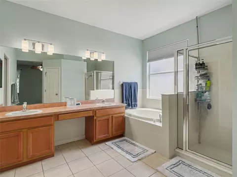 Bath - 11102 Silver Dancer Dr, Riverview, FL 33579 photo 1 of 2