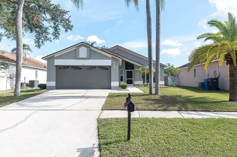 11113 Bloomington Dr, Tampa, FL 33635