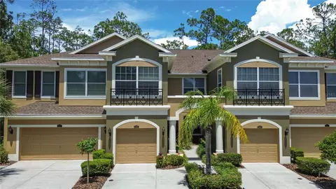 12658 Silverdale St, Tampa, FL 33626