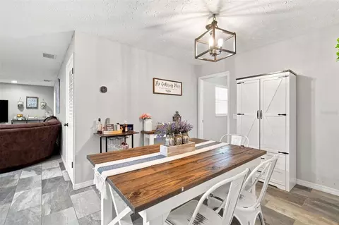2901 Beagle Pl, Seffner, FL 33584 photo 10