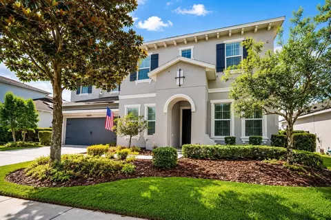 15424 Starling Crossing Dr, Lithia, FL 33547