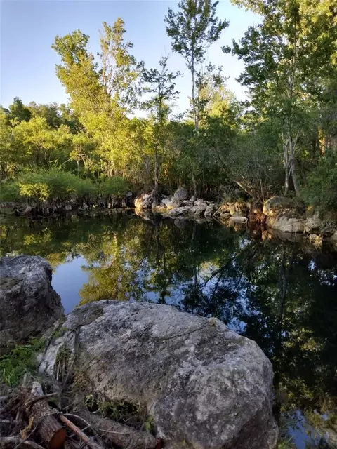 8800 S Steed Ter, Floral City, FL 34436