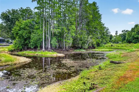 Other - 910 Hillside Dr, Lutz, FL 33549 photo 5 of 5