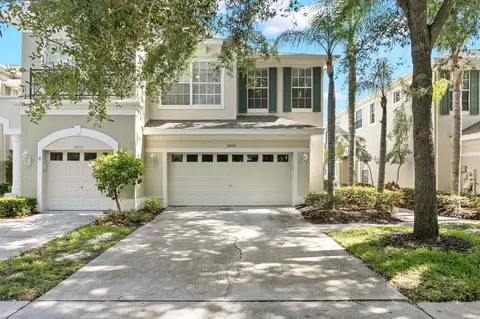 Undisclosed, Tampa, FL 33626
