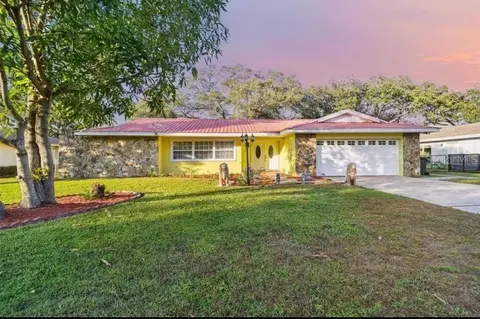 1514 Burning Tree Ln, Brandon, FL 33510