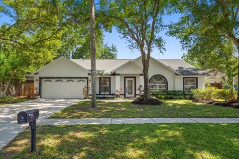 5423 Windbrush Dr, Tampa, FL 33625
