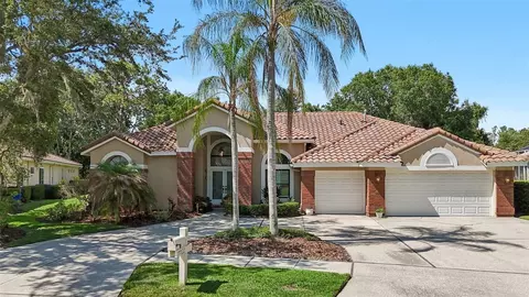 17722 Grey Eagle Rd, Tampa, FL 33647