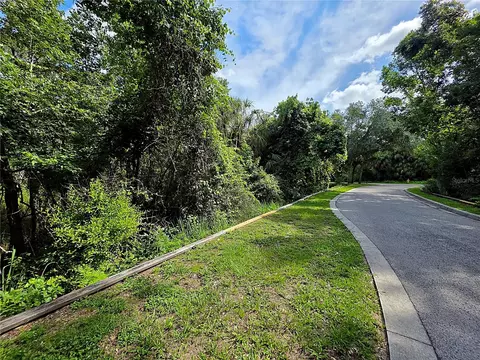 4876 Rambling River Rd, Brandon, FL 33511 photo 9