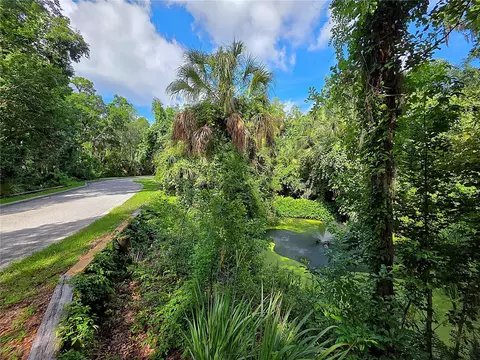 4876 Rambling River Rd, Brandon, FL 33511 photo 10